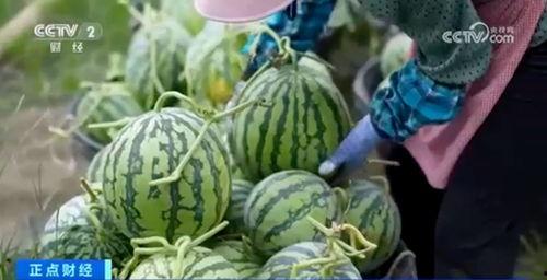 吃瓜黑料大爆炸