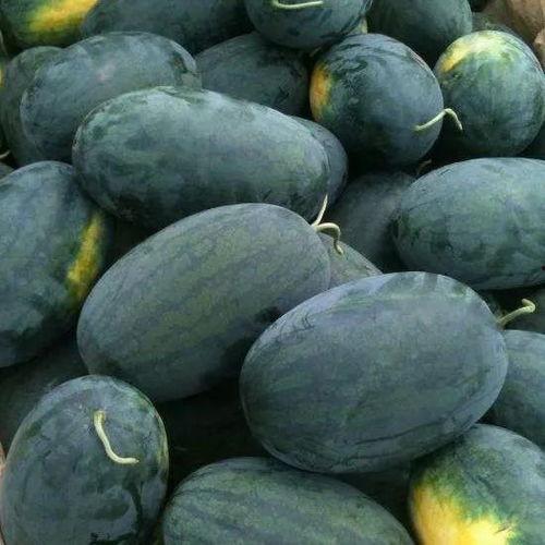 黑瓜吃料打开就能吃吗