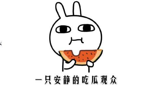 热点事件黑料吃瓜曝光,黑料曝光背后的真相与争议